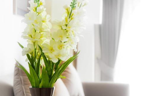 Central Pattaya Hotel | SN Plus Hotel - SHA Plus