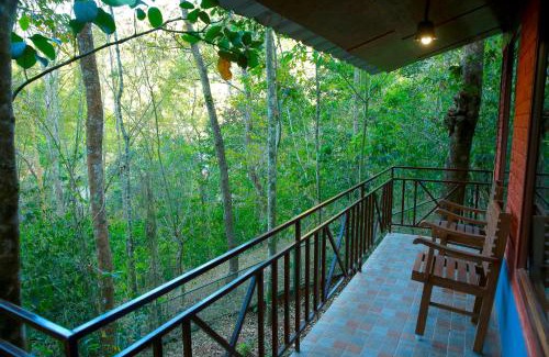 Pirmed Hotel | Snow Hills Resorts