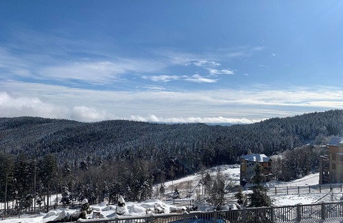Snowshoe Condo | Snowshoe: Soaring Eagle 211 a top-tier spacious 2 bedroom 2 bath