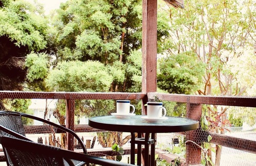 Talbingo Cottage | Snowy Cottage for Nature Lovers - Foxtel - Pet Friendly - Selwyn Snowfields - Yarrongobilly Caves - Walks - Boating and Fishing