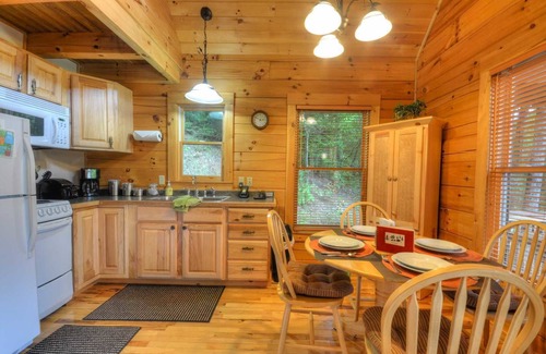 Bryson City Cabin | Soaring Eagle 1 Bedroom Cabin by Redawning