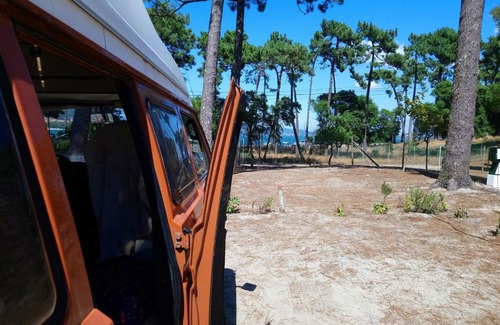 Delfshaven Other | Sol