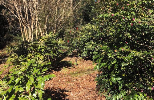 Stockbridge House | Solace in Nature 20min away from ATL airport with AC, WiFi and Netflix