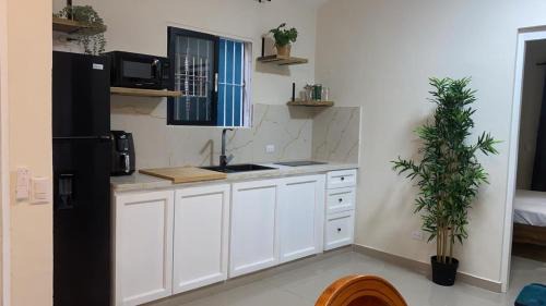 Boca Chica Apartment | Solano Apartamentos