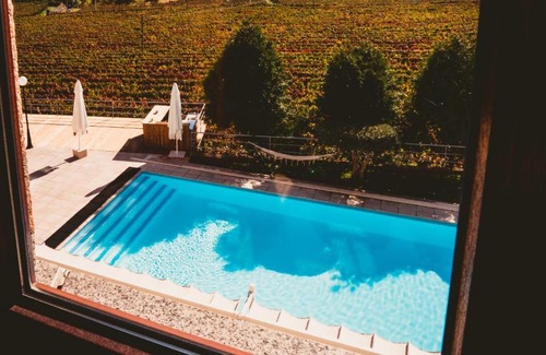 Santa Marta de Penaguiao House | Solar Quinta da Portela - Douro