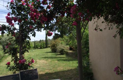 Cervione Apartment | soleil et farniente