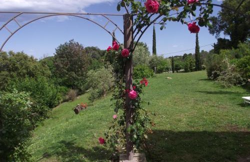 Cervione Apartment | soleil et farniente