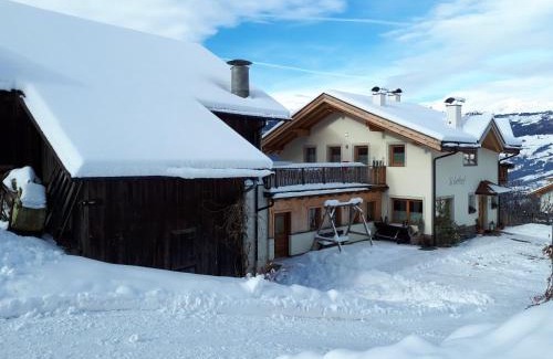 Laion House | Solerhof