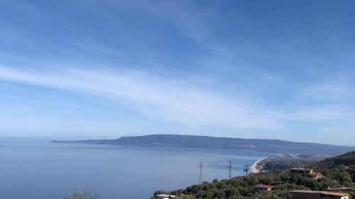 Palmi House | Solidea House