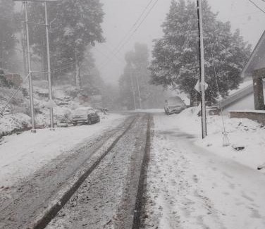 Rekong Peo House | Sonam Homestay Reckong Peo