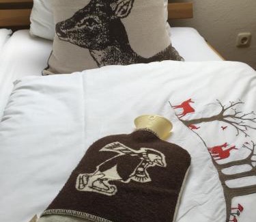 Hohenaschau im Chiemgau Hotel | Sonnenalm Kampenwand