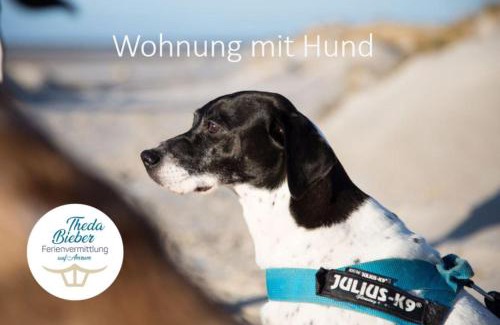 Suddorf Apartment | Sonnendeck - Hüs in Lee