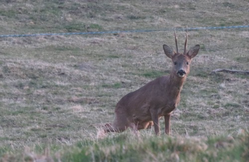 Saint-Donat House | "Sonnet" Sancy Artense