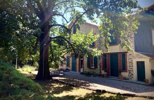 Payrin-Augmontel House | Sous le Tilleul de la Condomine, grand gite piscine privee