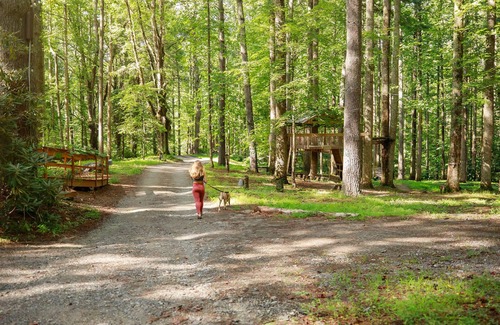 Saluda Cabin | South Fork cabin at Cabin Fever in NC!