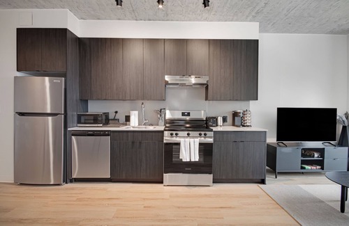 The Loop Apartment | South Loop | Rooftop With In & Out Parking