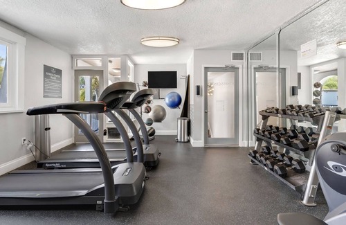 New Suburb Beautiful Apartment | South Tampa Apartment minutes away from Downtown, Dining and Entertainment