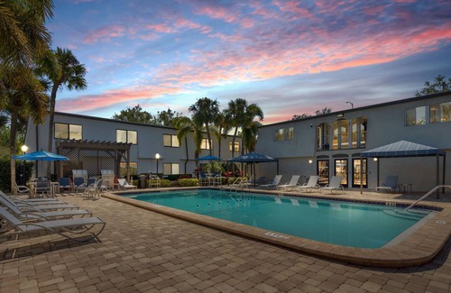 New Suburb Beautiful Apartment | South Tampa Apartment minutes away from Downtown, Dining and Entertainment