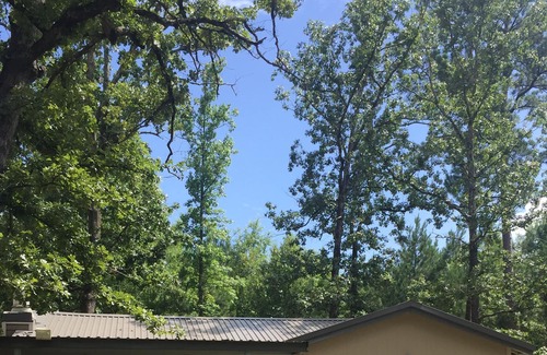 Florien House | South Toledo Bend 2 Bedroom House (Pirates Cove) Outdoor Shower & Shuffleboard!