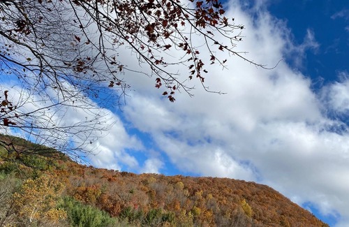 Blairsville Cabin | Southern Oak 2 Bedroom Cabin - Pet Friendly! by RedAwning