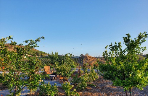 Temecula House | Southern Vines Suite - Wine country treat!