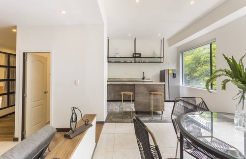 Zona Rosa Apartment | Soy Local Primavera