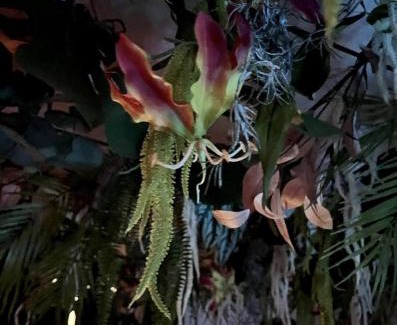 Macon Apartment | Spa-Sauna-Ciel de pluie tropicale-Champagne Nuit Romantique - Escapade Mâconnaise