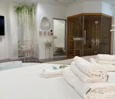 Belfort Apartment | Spa sauna et hammam - Dahlia