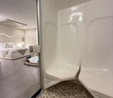 Belfort Apartment | Spa sauna et hammam - Dahlia