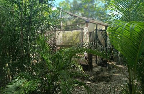Tulum Other | Space for your tent