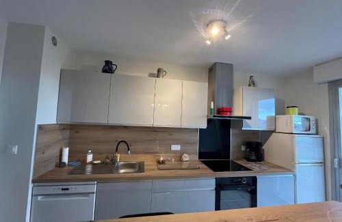 Evian-les-Bains Apartment | Spacieux appartement refait à neuf avec balcon et garage, proche centre-ville - FR-1-498-108