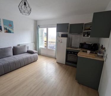 Les Angles Apartment | Spacieux appartement T2 & cabine
