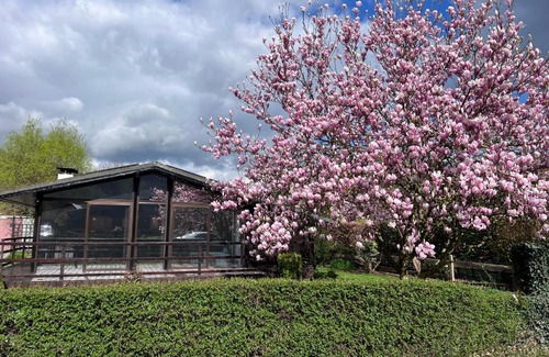 Aywaille Ski Chalet | Spacieux chalet à Aywaille