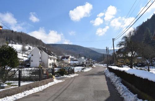 Sondernach Apartment | Spacieux et confortables gîtes à proximité randonnées, lacs, ski nature