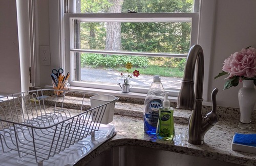 Bedford Apartment | Spacious 1 bedroom apartment in Lexington MA, surrounded by nature trails