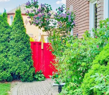 East Credit Apartment | Spacious 2 Bedroom 1 bath Mississauga Basement Apartment