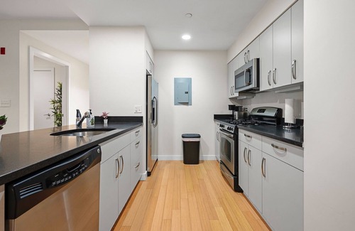 South of Washington Apartment | Spacious 2bd/2ba in Southend Boston 9332