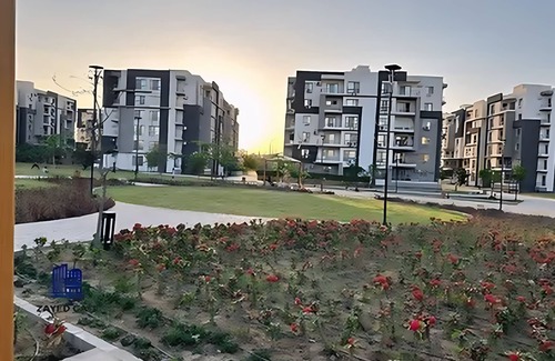 Sheikh Zayed City Apartment | Spacious 2BR Apt 2BA Gated Community