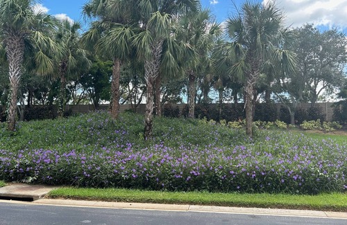 Bonita Springs Villa | Spacious 3-bed sunset villa available from Mid Feb to end of April 2026