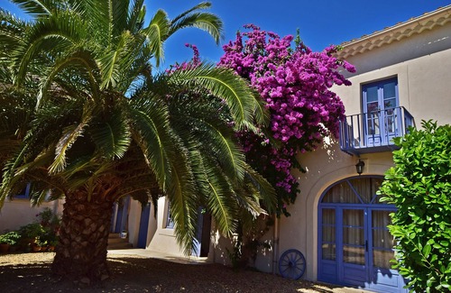 Nizas Villa | Spacious 3 bedroom vineyard villa, air conditioned, Domaine Saint Ferreol