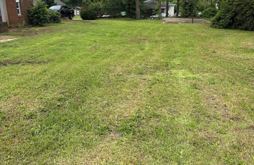 Tuscaloosa House | Spacious 4-bedroom house with AC, WiFi in charming Tuscaloosa