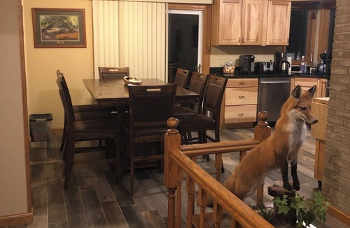 Rockton House | Spacious 4-bedroom house with AC, WiFi in charming Rockton, Private & Peaceful