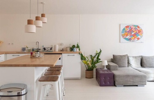Les Puces de Saint-Ouen Apartment | Spacious and very bright apartment