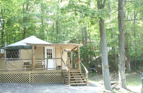 Trumansburg Cabin | Spacious, airy yurt for glamping in comfort!