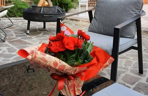 Saturnana House | Spacious and very comfortable house with swimming pool ideal for large families