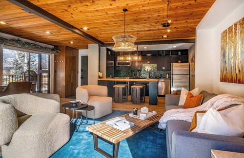 Downtown Apartment | Spacious Aspen 1BR 2 Blocks to Gondola with AC!