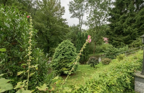Neustadt/Harz House | Spacious Bungalow in Neustadt Germany with Garden