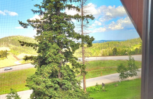 Lead Cabin | Spacious Cabin near Deadwood for Rally with Paved Roads - nat Barefoot Resort!