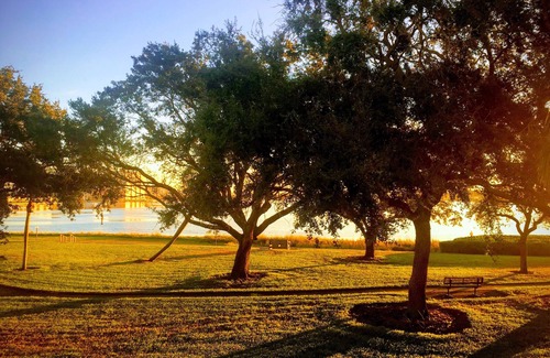 Palma del Mar Condo | Spacious Clean Quiet 2 Bedroom Facing The Boca Ciega Bay