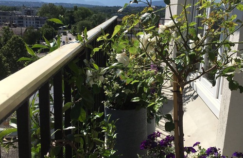 Ferney-Voltaire Apartment | Spacious, Comfortable Apartment, Geneva-ferney Border, With Mountain Views